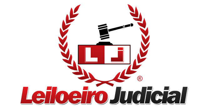 Leiloeiro Judicial